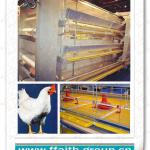 H type automatic chicken cage design