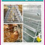 2013 poultry house chicken layer cage
