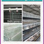 2013 chicken layer cage with low cost