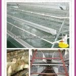 new type automatic chicken layer cage