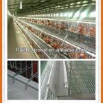 automatic chicken layer cage for farm