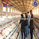 High quailty ! Hot-sales ! Chicken egg layer cage