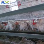 Hot-Sale BT factory A-128 automatic egg layering cage(Welcome to Visit my factory)
