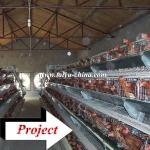 Taiyu design layer chicken cages for kenya hen farm (full poultry equipment and own oversea agent)