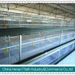 poultry house chicken layer cages