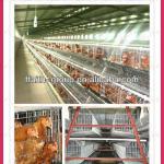 2013 automatic chicken layer cage