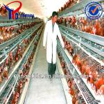 meat and poultry farm