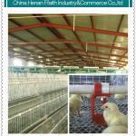 poultry house use chicken cages