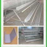 automatic chicken layer cage