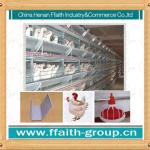 H type chicken layer cages