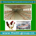 FFaith-group chicken poultry farm equipment 008613938486709