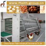 FFaith-group hot selling good quality poultry equipment 008613938486709