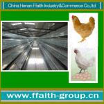 FFaith-group good quality poultry cage for layer chicken
