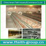 low cost and high quality chicken chicken special cage 008613938486709