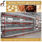 made in China good quality poultry equipment 008613938486709
