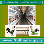 high quality chicken poultry farm equipment 008613938486709