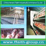 low cost chicken chicken special cage 008613938486709-