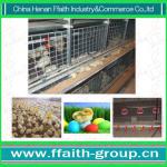 Hign quality chick cage with life for above 15 years-