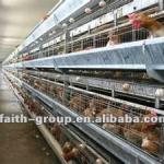 A type chicken layer cage-