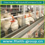 automatic poultry house ues laying chicken cage