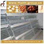 good quality poultry equipment 008613938486709-