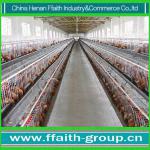 hot sale poultry house use laying chicken cage