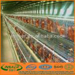 2013 poultry farm equipment for chicken cage (ISO9001 manufacturer)-