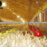 Poultry Husbandry Equipment for broiler-