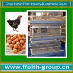FFaith-group chicken poultry farm equipment-