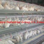2013 most popular competitive price battery cages for laying hens