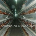Automatic chicken coops for broiler