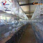 manafacture breeding pigeon cage design