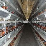 poultry battery cages H type