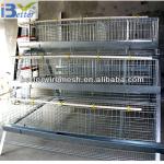 Best selling BT factory A-120 type chicken egg poultry farm(Welcome to Visit my factory)