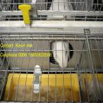UK,Poland,Ireland 1 or 2 layer rabbit farming cage(factory)for birth new rabbit