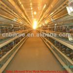 battery cages for layers