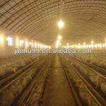 The best price Poultry Chicken layer cage Equipment