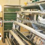 automatic poultry battery cages