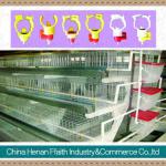 automatic H type chicken cages