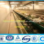 Europe standard 1 or 2 layer rabbit rabit layer farming equipment(factory)for female and young rabbits/for breeding