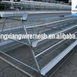 electro galvanized chicken battery cage 3 or 4 layer for 100birds
