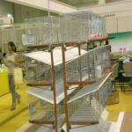 metal rabit rabbit farming cage system(factory)3 or 4 layers
