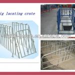 good quality pregnancy locating crate for pigs