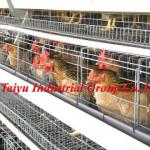 Export standard Egg laying cage for Birds