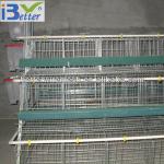 Best selling,Good quality BT factory A-120 battery chicken cage(Welcome to vist my factory)