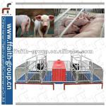 hot sales high quality sow farrowing crate
