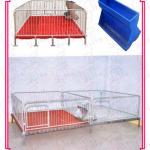 hot sale piglet crate with low cost