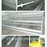 Africa chicken farm battery cages laying hens
