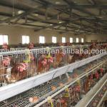 high quality egg layer poultry chicken cage on sale