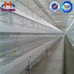 hot selling!!! cheap chicken shed for poultry farm